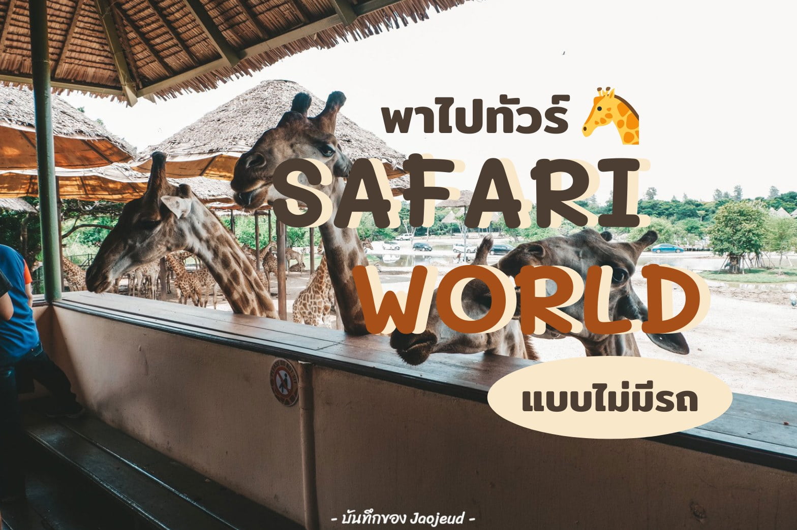 พาไปทัวร์ Safari World แบบไม่มีรถ รำลึกวัยเด็ก