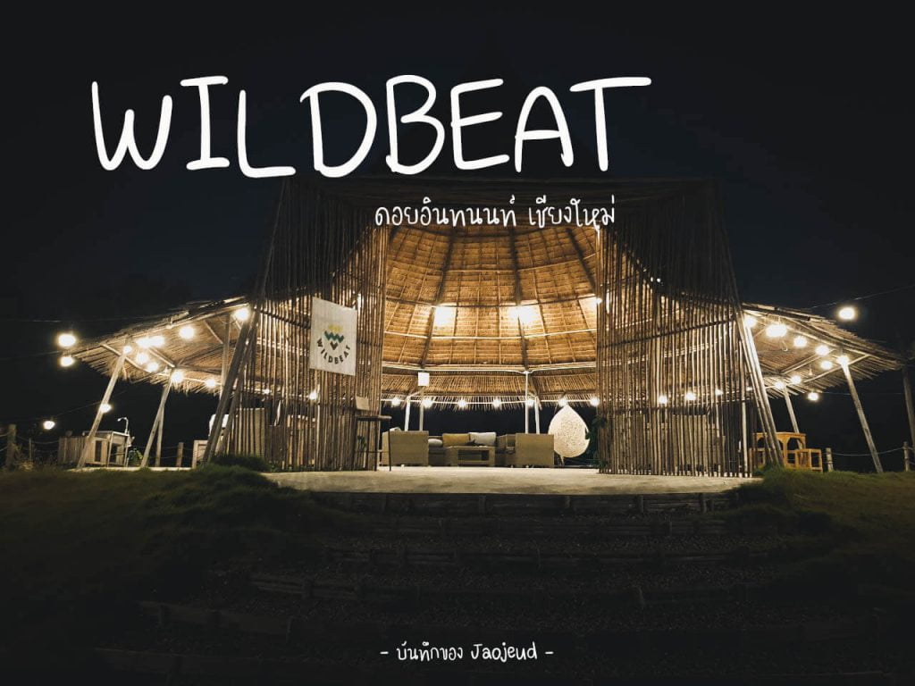WILDBEAT