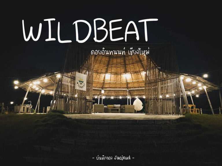 WILDBEAT