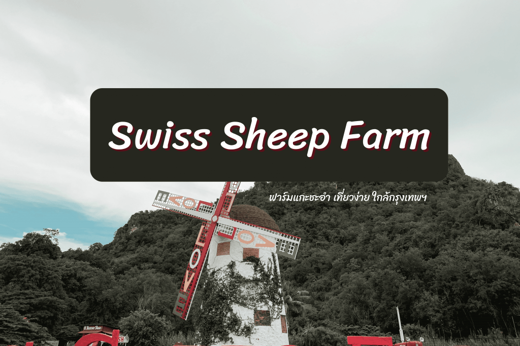 Swiss Sheep Farm