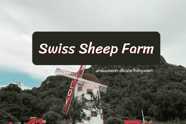 Swiss Sheep Farm