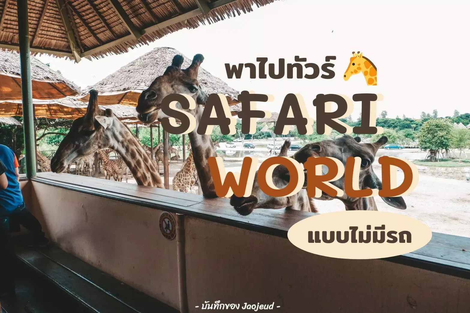 Safari World
