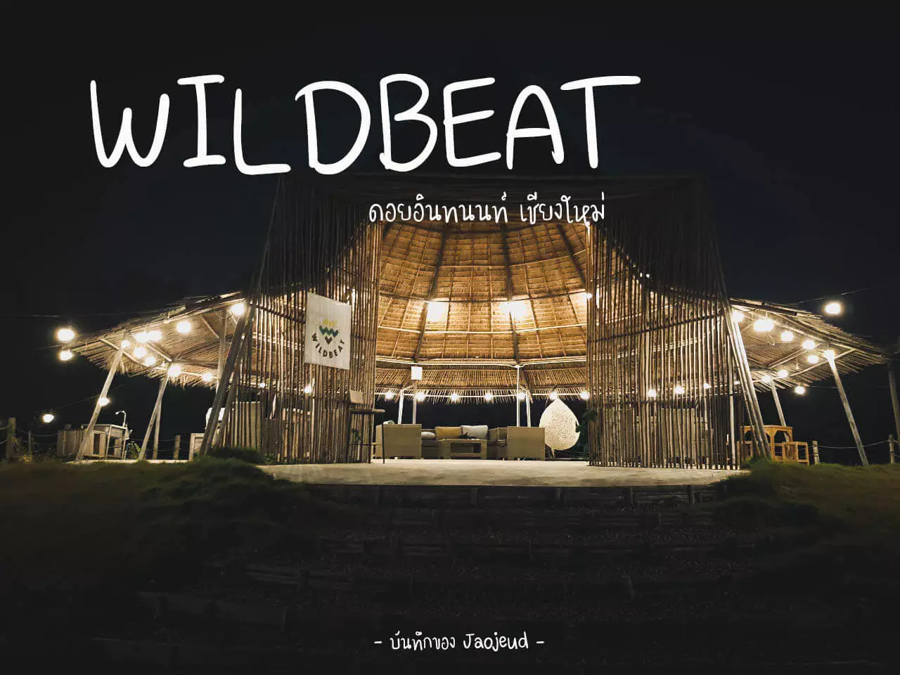 WILDBEAT