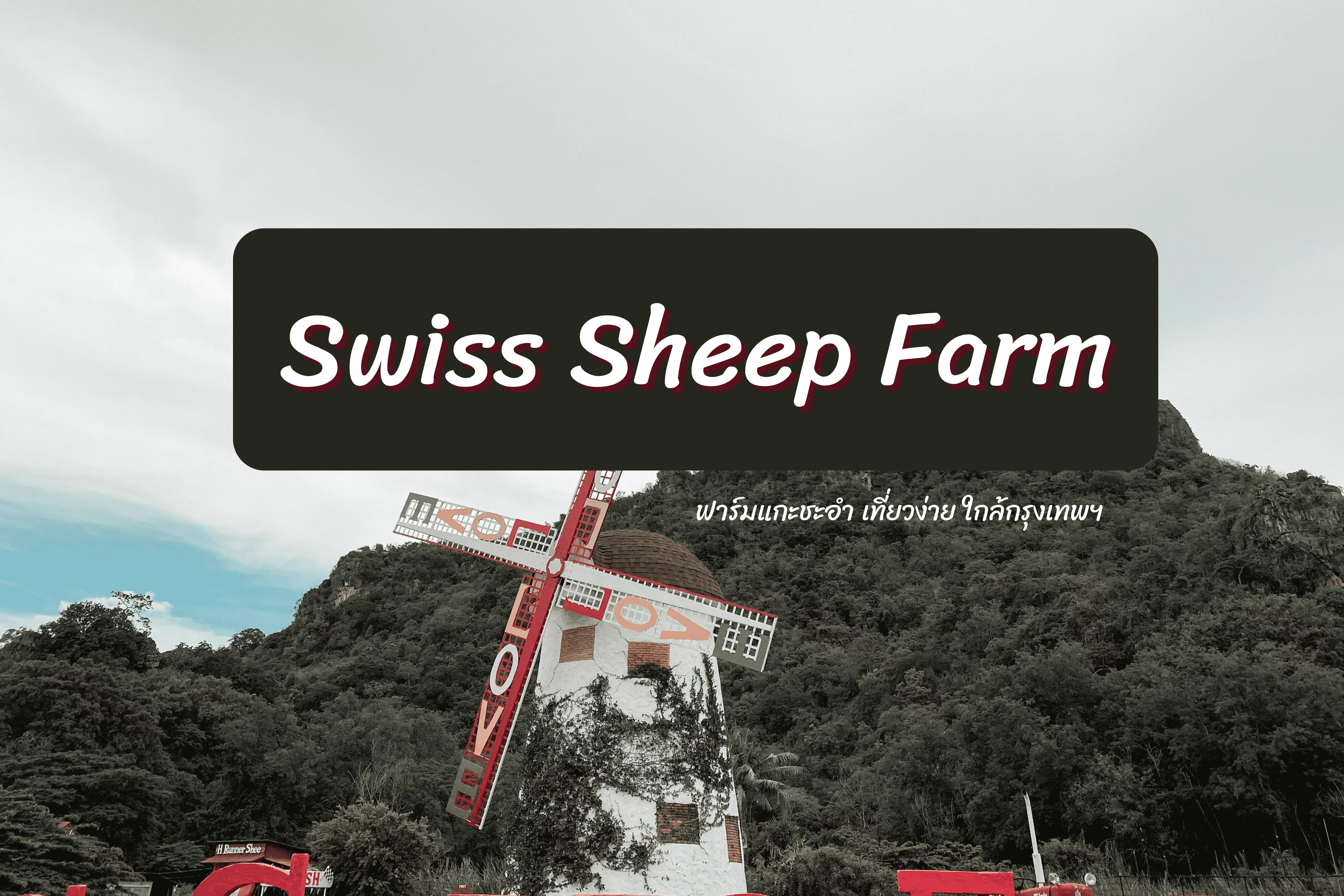 Swiss Sheep Farm