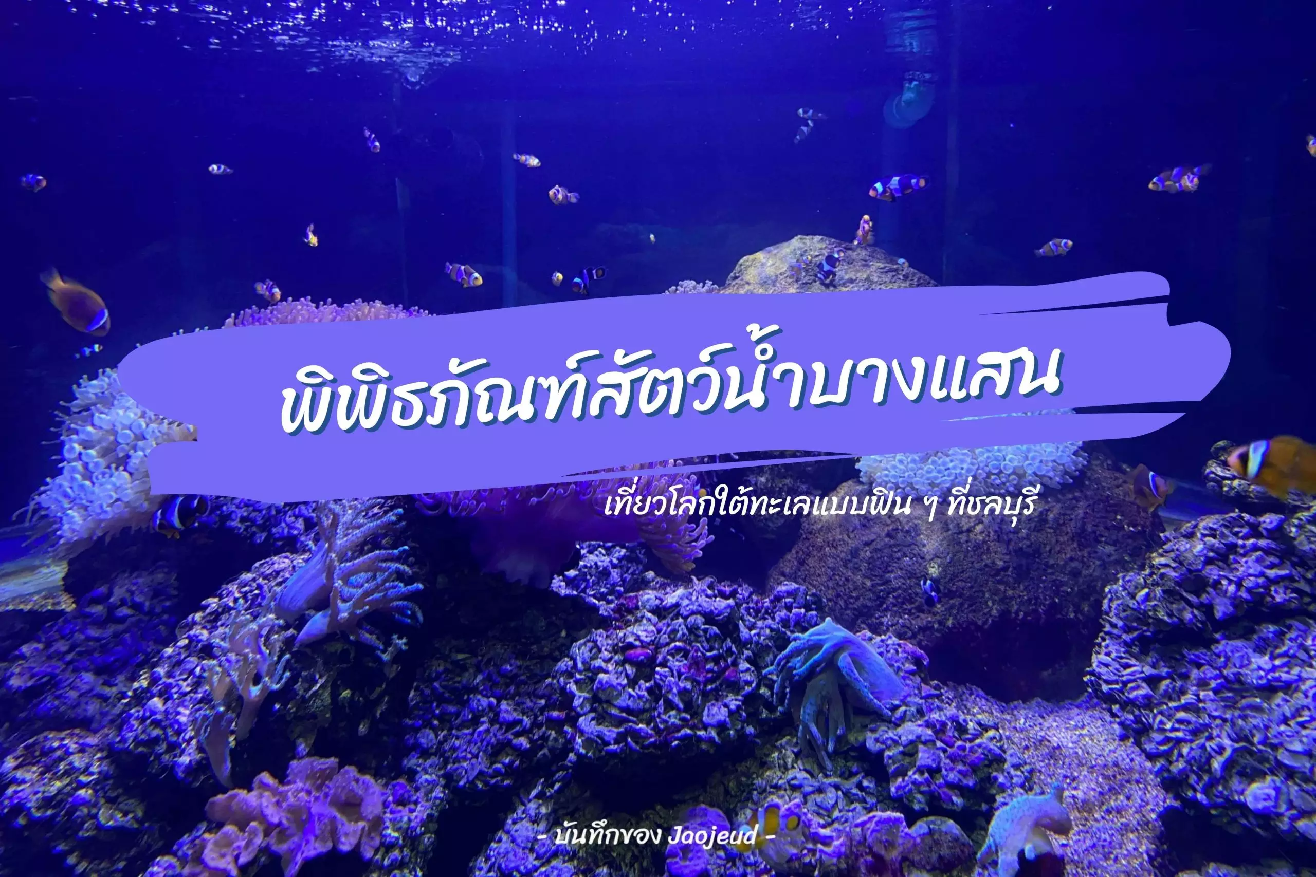 พิพิธภัณฑ์สัตว์น้ำบางแสน