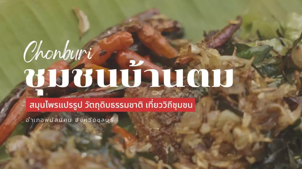 ชุมชนบ้านตม